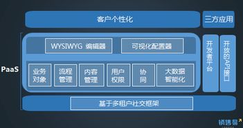 销售易发布旗舰版产品及PaaS平台，获1亿元C轮融资，深化信息系统集成服务