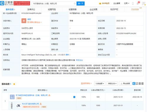 科大讯飞落子大理，智能科技公司聚焦信息系统集成服务